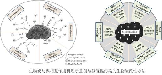 環(huán)資學(xué)院生物炭修復(fù)土壤重金屬污染研究取得新進展