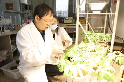 探秘昆明理工大學(xué) 走進云南省三七資源可持續(xù)利用重點實驗室